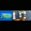 Vitamerica Alternative Health Center
