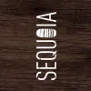 Sequoia