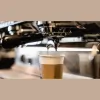 The Coffee Snob