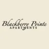 Blackberry Pointe Apartments