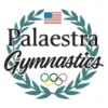 Palaestra Gymnastics Academy