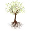 Nourish Craniosacral Therapy