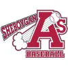 Sheboygan A's