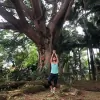 Giving Earth Healing Arts