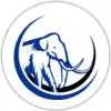 Mammoth Transport
