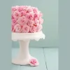 The Art of Cake Studio