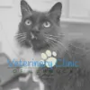 Veterinary Clinic of Lubbock