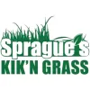 Sprague's Kik'n Grass