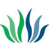 Healing Solutions Acupuncture
