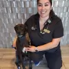 Boat Club Road Animal Hospital
