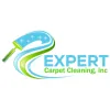 Expert Carpet Cleaning