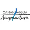Laurie Mitchell Acupuncture