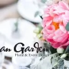 Urban Garden