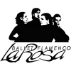 Ballet Flamenco La Rosa