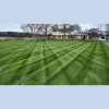 Grizzly Bear Lawn Care