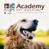 Academy Pet Hospital