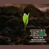 TSM Services