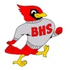 Alumni & Friends Of Bellaire