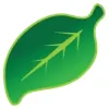Greenleaf Waxing Studio