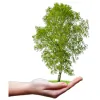 Birchview Gardens Assisted Living