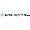 Mold Experts Now