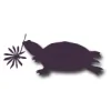 Turtle Creek Nursery & Landscaping