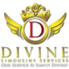 Devine Towncar & Limousine Services