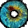 Iris Eye Care & Contact Lens Gallery