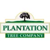 Plantation Tree