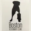 Boston Veterinary Clinic