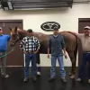 Hansford County Veterinary Hospital