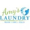 Amy's Laundry