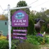 Sweet Meadow Farm