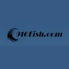Championship Sportfishing Outfitters