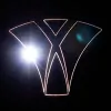 VI Marketing and Branding