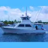 Andy Griffiths Charters