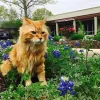 Windsor Park Veterinary Clinic