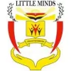 Little Minds Preschool