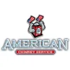 American Chimney Service
