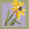 Cottage Grove Florist