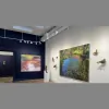 Studio Shop Gallery