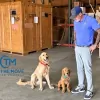 On The Move Moving Company