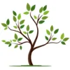 Belmont Psychological Services