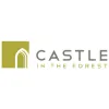 Castle In The Forest