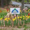 Keystone Home Inspections - MA