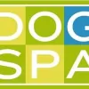 Dog Spa