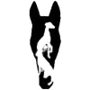 Braden Run Animal Hospital