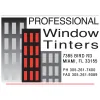 Professional Window Tinters