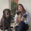 Prairie Village Pet Hospital