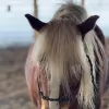 HOPE Equestrian Center